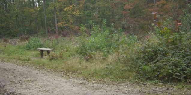 Uiteindelijk op 3-sprong naar rechts: langs slagboom het zandpad op. Links is een groot heideveld; rechts bos. Op 3-sprong: rechtsaf. Langs bankje (rechterkant pad).