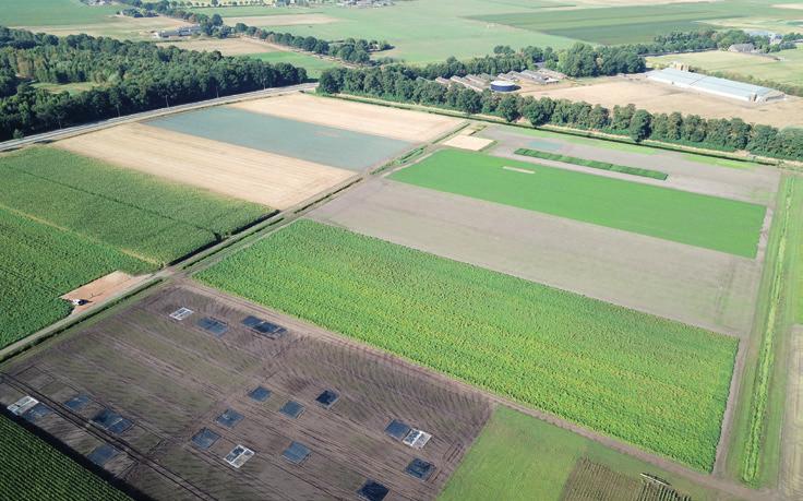 Lange termijn proeven: Bodemkwaliteit op zand, BASIS, Bodemkwaliteit Veenkoloniën en Bodemgezondheid Janjo de Haan, Marie Wesselink, Harry Verstegen, Derk van Balen, Wiepie Haagsma, Paulien van