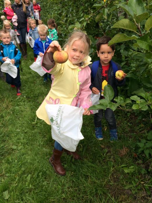 We hebben een heerlijke dag gehad met de kleuters. Ook de ouders, bedankt voor uw hulp! Groep1/2e, juf Brigitte: Wat leuk, gezellig en leerzaam was het appels plukken, afgelopen vrijdag!