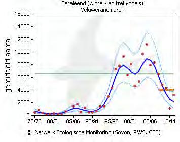 Bladnummer 14 Ons kenmerk: 1818775 Grafiek 1: Vergelijking langjarige seizoensgemiddelden van de tafeleend in de Veluwerandmeren en Markermeer & IJmeer Zoals uit bijgevoegde grafiek van het verloop