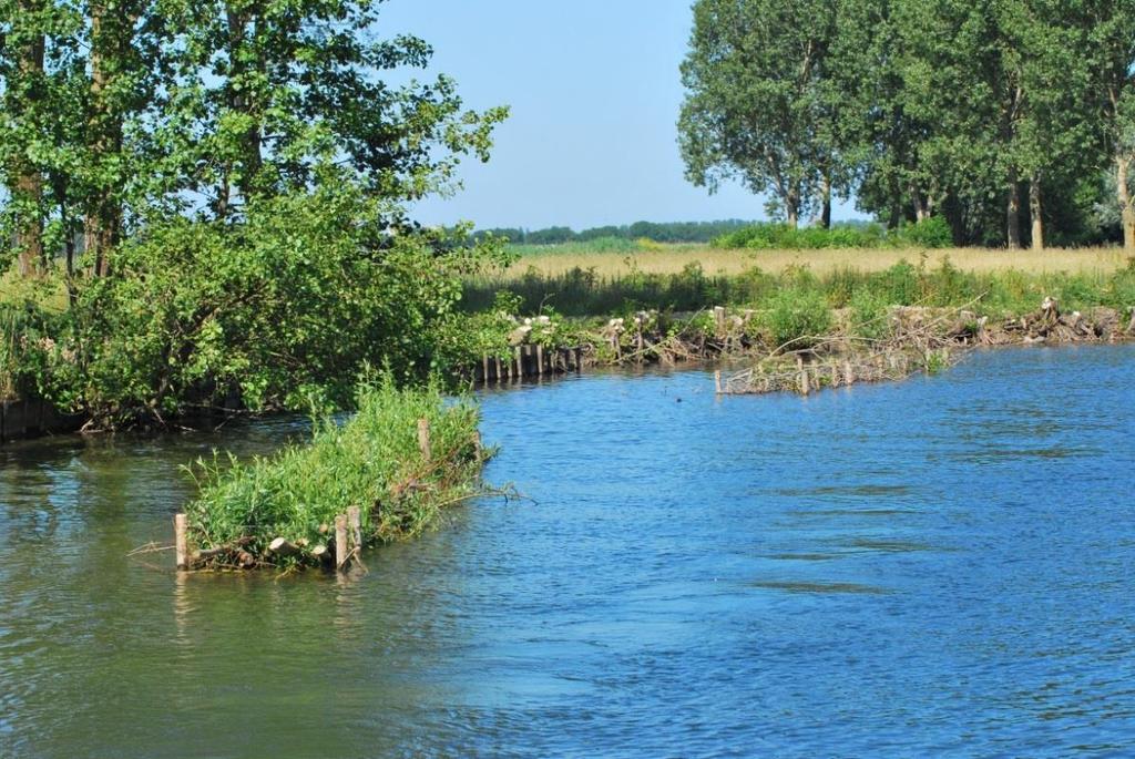 - Stadswateren in Amersfoort - Voor het water aan de Keerkring (Koppel) kan eventueel gekozen worden om deze vijver te bezetten met een vrij hoge dichtheid aan karpers.
