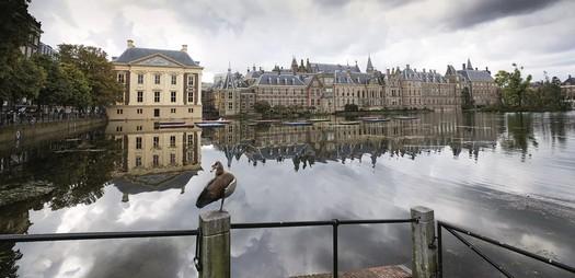 Voor het woord smaak is Driessen allergisch: Dat veronderstelt superioriteit. Ik heb het liever over overtuiging.