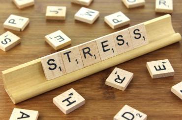 15/01/ Wat is Stress? 7 Wat veroorzaakt stress?