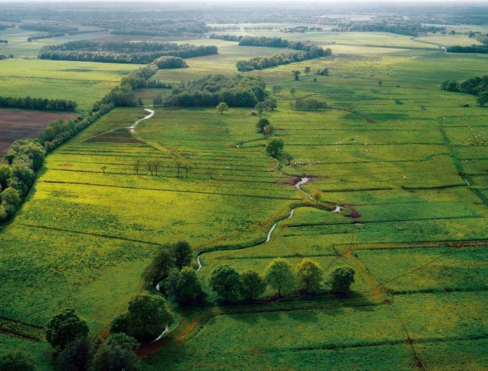 Theo Spek Rijksuniversiteit Groningen Kenniscentrum Landschap Oude Boteringestraat 34 9712 GK