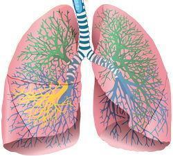 Inhalatie therapie Doel Op een effectieve manier een relatief lage dosis medicatie