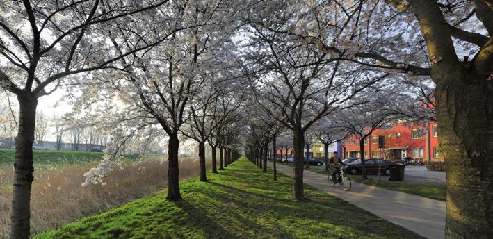 Post 65: Regenboogbuurt, Almere positief en kansrijk aspect van de zestien, vaak uit meerdere onderdelen bestaande bruggen- en sluizen, die in beheer zijn van de provincie Flevoland.