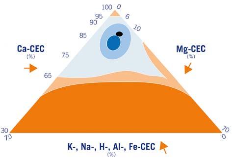 5551737 MM: BG Fysisch De beoordeling van de potentiële structuur wordt gedaan op basis van de verhouding tussen calcium, magnesium en overige kationen aan het kleihumuscomplex.