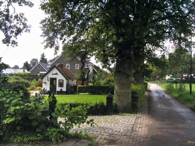 Het geheel is los bebouwd met open zichten op de kerk en de bosrand van De Hoenderloo Groep. De Krimweg bestaat in het dorp ook uit lintbebouwing, maar is strakker van opzet.