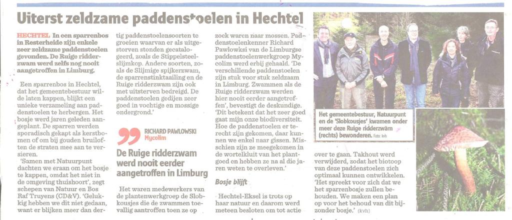 besteedden heel wat aandacht aan het sparrenbosje in Hechtel. De maandag zelf was het al een item in het TVL en het VTM nieuws!