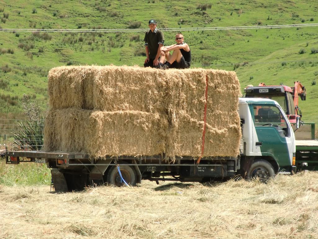 fascinerende land. Ontdek het dagelijks leven op een Nieuw-Zeelandse boerderij.