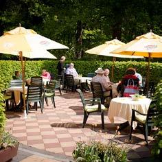 Grand Café ECR Groot Stokkert is gelegen te midden van de Veluwse bossen en heidevelden.