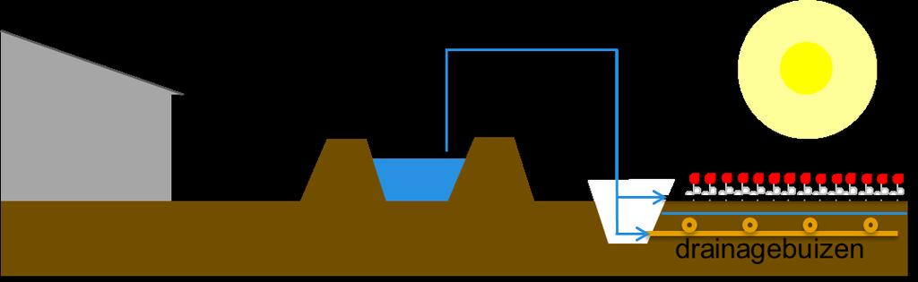 Naar gelang de waterbehoeee van het gewas kan de teler met een regelunit de grondwaterstand op een bepaald peil instellen (peilopzet).
