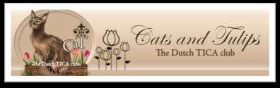 Cadeau bon Alstublieft een van de Cats and Tulips om eenmalig een dag gratis te showen op een van onze Cats and Tulips shows.