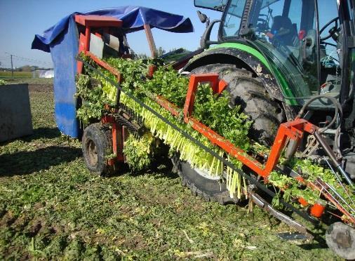 Gewasresten tuinbouw: inkuilen en composteren om