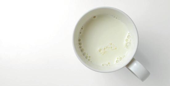 17 De installatie en het melkproces Het melkproces kent twee vormen: conventioneel melken en robotmelken.