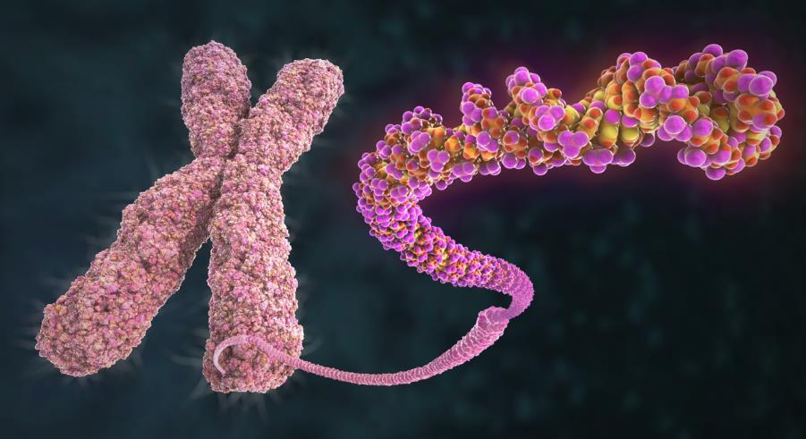 Kanker: een ziekte van het DNA Veranderingen in