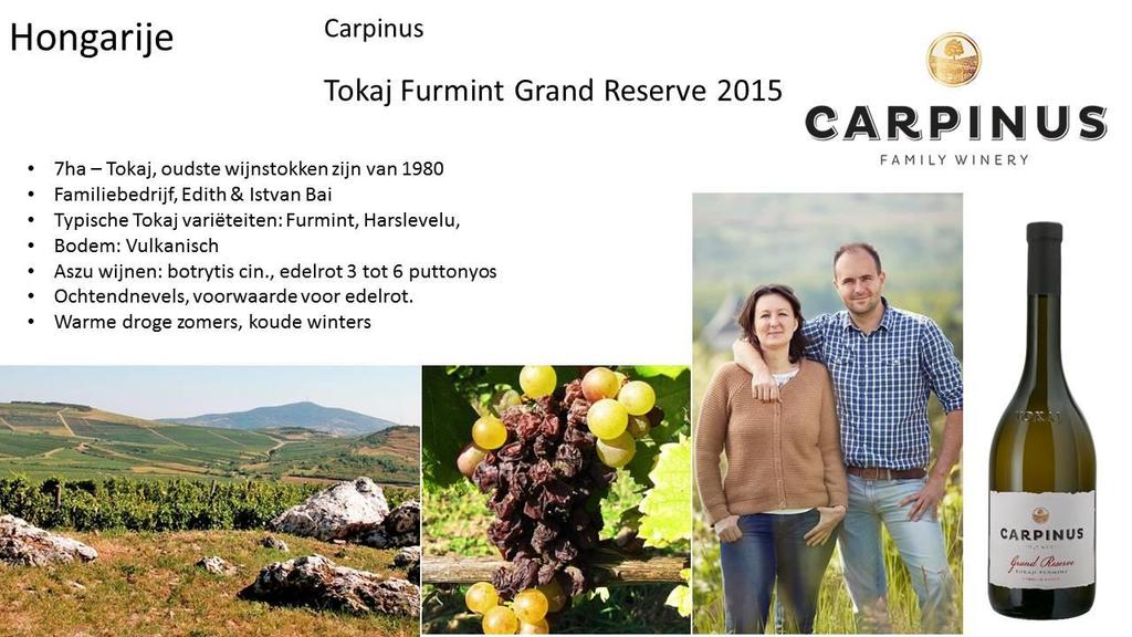 HONGARIJE: CARPINUS TOKAJ FURMINT GRAND RESERVE 2015 Indrukken: -