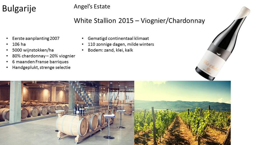 BULGARIJE : ANGEL S ESTATE WHITE STALLION VIOGNIER-CHARDONNAY 2015