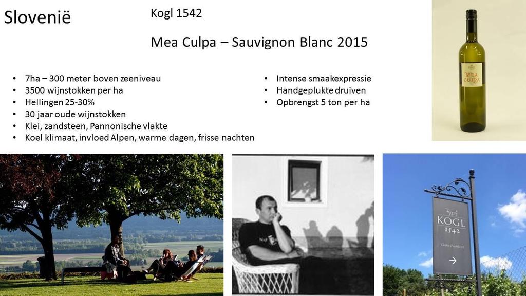 Wijnen op de proeftafel: SLOVENIË: KOGL 1542 MEA CULPA SAUVIGNON