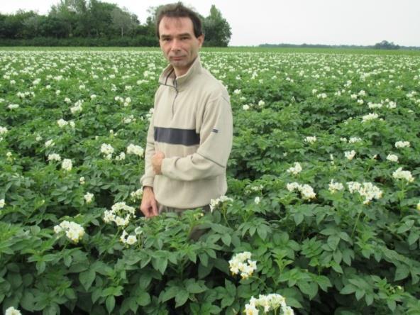 Bij Bert Hoekzema waren de planten met klei (boven) 10 tot