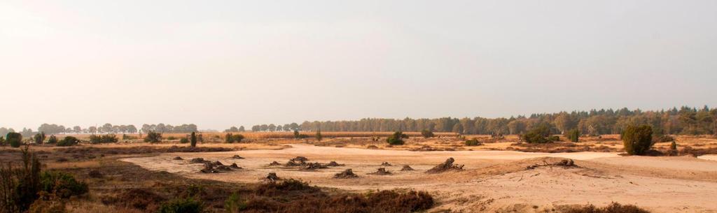 Landschap Overijssel beheert het natuurgebied. Temidden van alle landschapstypen ligt het oorspronkelijke 'Landgoed Beerze', bestaande uit een landhuis en landgoedbos.