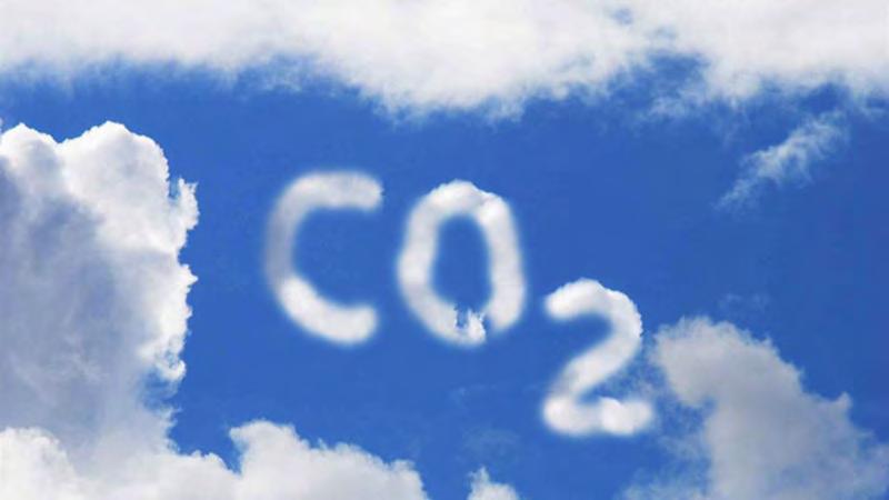 CO 2