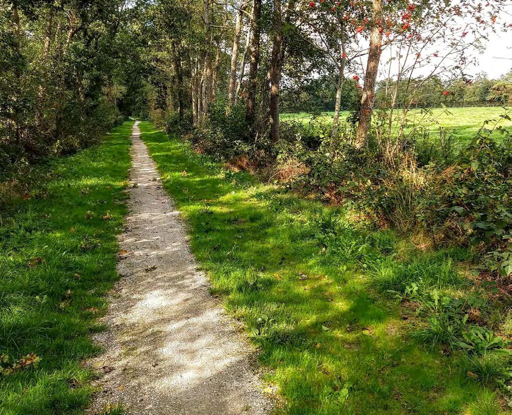 Coulissenlandschap Westerkwartier In het Zuidelijk Westerkwartier ontdekt u dat de provincie Groningen meer te bieden heeft dan eindeloze vergezichten en uitgestrekte polders.