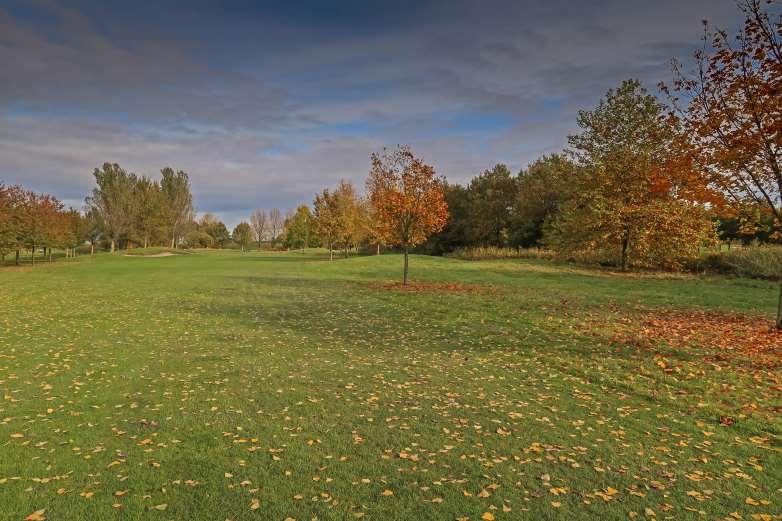 Bomen bijgeplant in