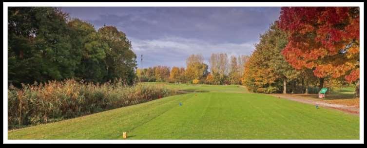 Cromstrijen hole 11: analyse Een mooie middellange par 3, goed te spelen