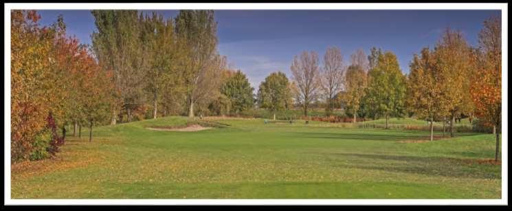 Cromstrijen hole 12: analyse Een korte par 4, toch een lastige hole, met name door de fairway bunkers Hole oogt smal,