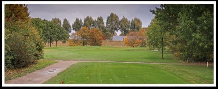 Cromstrijen hole 3 compact course: analyse Een korte par 3, vriendelijke hole Green is rechts goed verdedigd