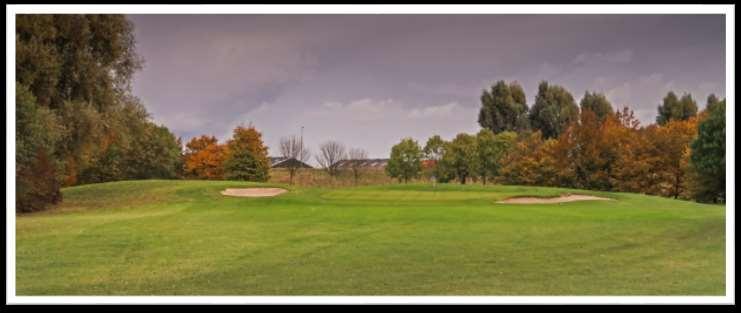 Cromstrijen hole 7 compact course: analyse Een middellange par 3, green ligt een beetje verhoogd Green is niet erg sterk verdedigd, bunkers