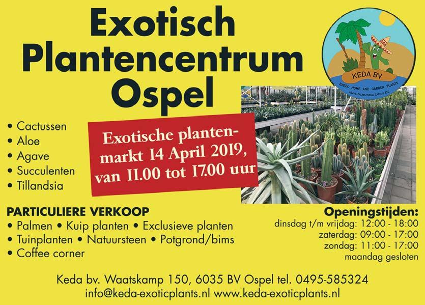 30 juni Cactus- en exotische plantenbeurs in tuincentrum Velden te Velden. Met promotie-actie in kader van 100-jarig bestaan.
