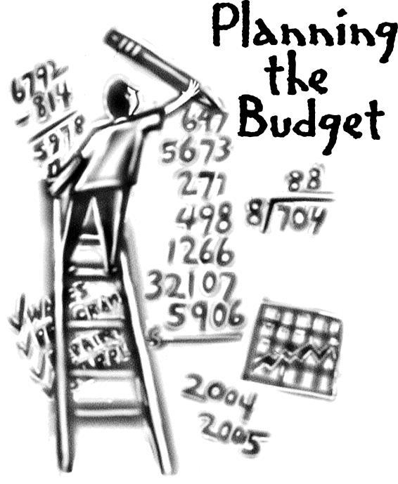 Van begroting naar een budget?