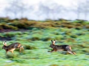 Natuur en milieu Het aanbieden van Natuur en Milieu educatie is primair een taak van het onderwijs. In de overgangsfase stellen we als gemeente middelen beschikbaar.