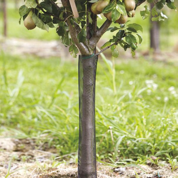 AGROBUREN CATALOGUS Flexguard boombeschermers Flexguard boombeschermers kunnen na het planten om de boom worden gedaan.