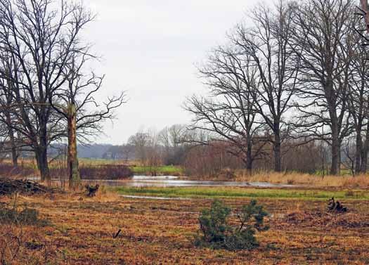 Waar zijn we en waarom wil je ons dit gebied laten zien? De Empesche en Tondensche Heide is een Natura 2000-gebied in de IJsselvallei halverwege Voorst en Zutphen met natte heide en blauwgrasland.