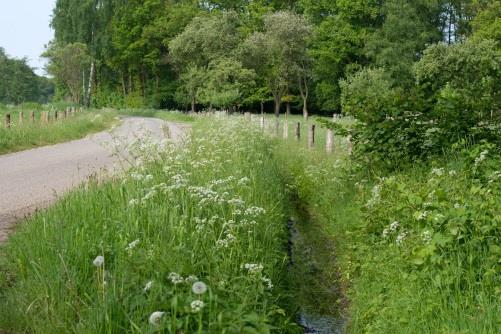 Provincie Overijssel Coöperatie