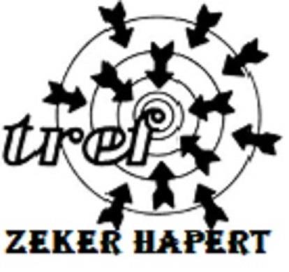 Politieke Vereniging JAARREKENING 2017 TrefZeker Hapert Wilhelminastraat 4 5527 AW