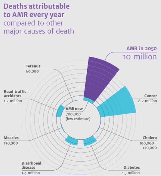 Antimicrobial