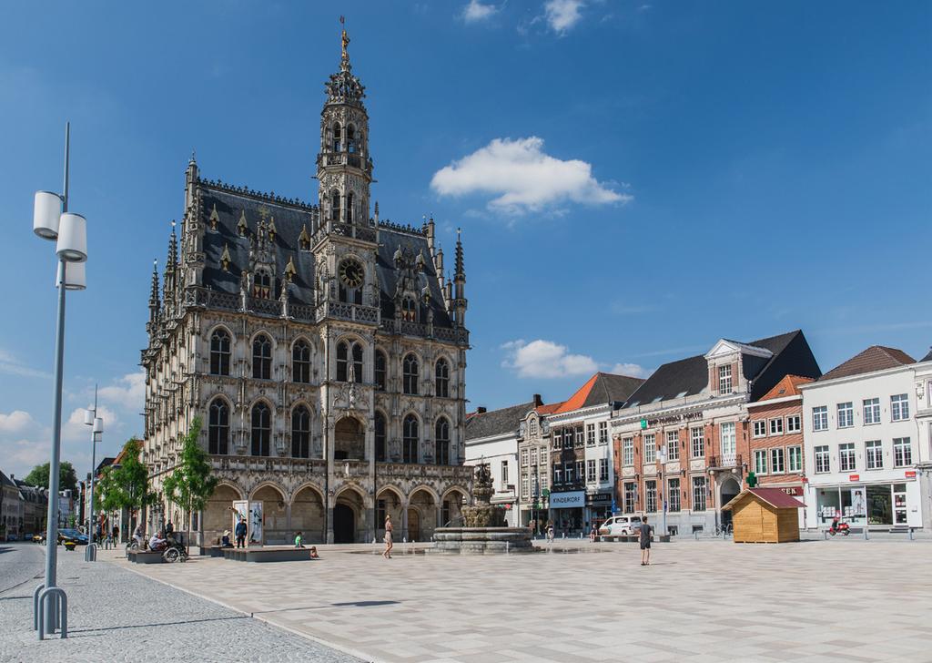 BREED GEDRAGEN Aan de basis van dit document ligt een bevraging bij ondernemers uit Oudenaarde over 8 thema s.