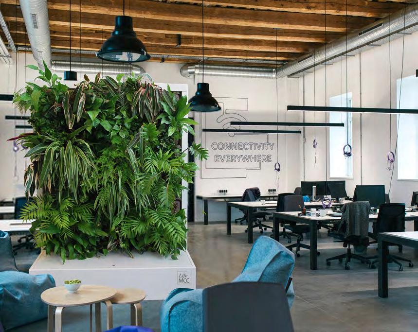 De LifeMCC is het ideale mobiele plantensysteem om energie en leven te brengen in ieder interieur, van woonkamer tot kantoortuin of lobby.