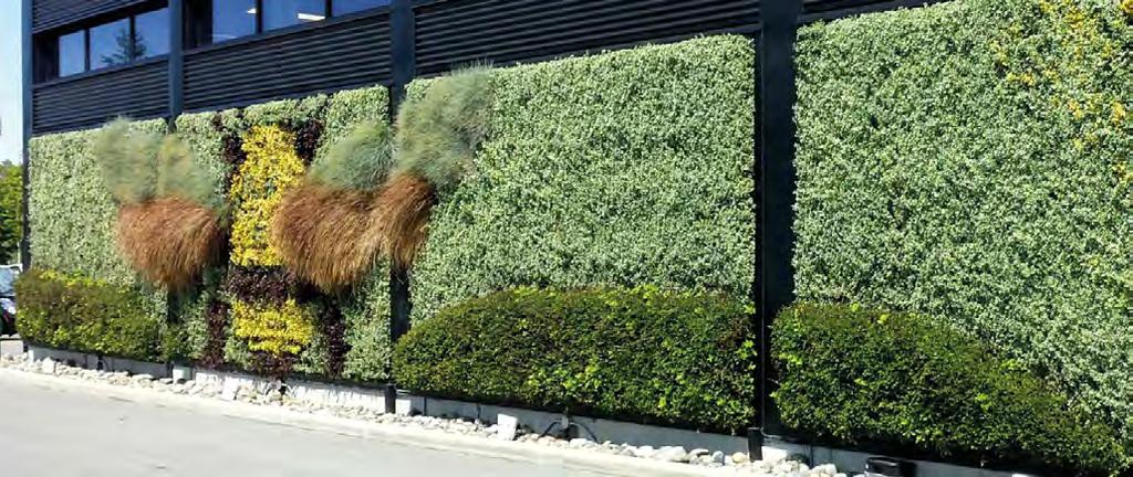 Daarom heeft Sempergreen haar plantenassortiment uitvoerig getest.