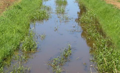 2 Het nat profiel bevat het wateroppervlak en het watervolume wat zich onder het oppervlak bevindt.