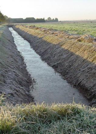 gebied ruim(e) wg in beb.geb. Een groter profiel is toegestaan minder dan 5 m 1 per 100 m 1 is afgekalfd; geen vegetatie - in de vorm van hoog gras of onkruiden - aanwezig langs de oever.