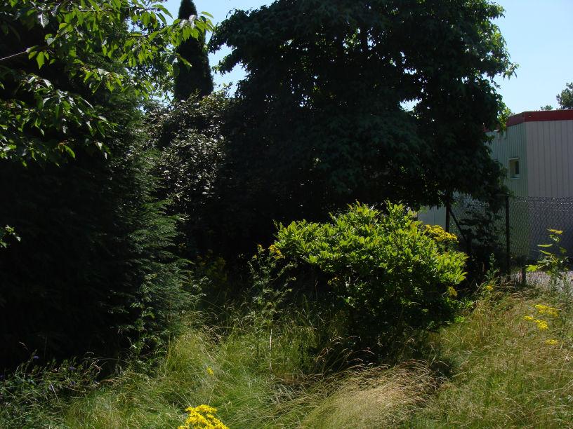 Foto 3: bebouwing en bosschages Foto 4: aanwezig grasland met ruigte kruiden 2.
