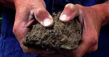 Bekwame grond Vroeg zaaien (bijvoorbeeld in februari) is alleen mogelijk als de grond bekwaam is.