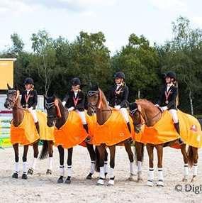 Meertallen en verenigingskampioenschap Paarden Hippiade 2018 Volop strijd werd er geleverd tijdens de Hippiade om de titels voor de meertallen en het verenigingskampioenschap bij de paarden.
