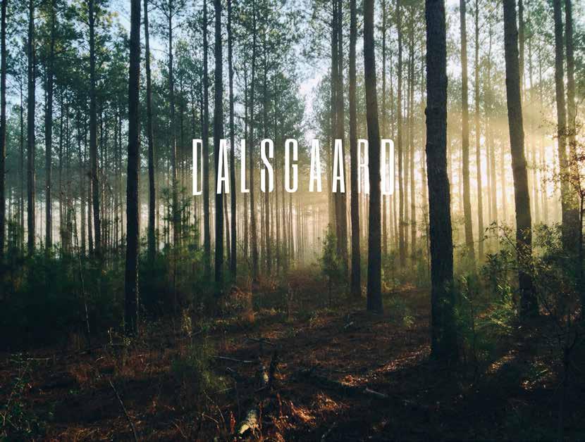 INLEIDING Met de houtcollectie DALSGAARD, een eerbetoon aan de Deense voetballer Henrik Dalsgaard, put lichtproducent TAL deze keer rechtstreeks uit de natuur.
