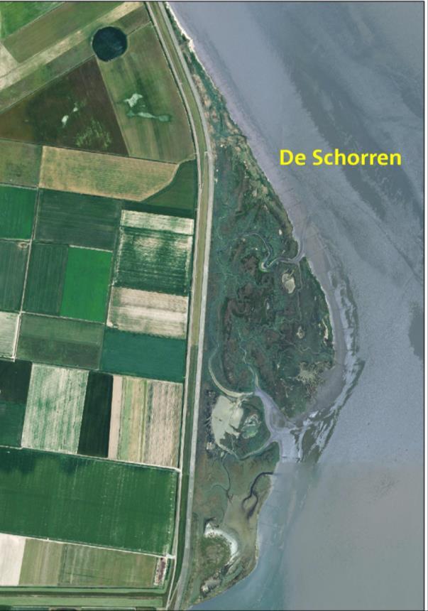 Figuur 4.6 Luchtfoto 2006 Schorren van de Eendracht (bron: Staatsbosbeheer). 4.2. Landschapsecologische uitwerking van Texel In de voorgaande paragrafen is een globaal overzicht gegeven van de abiotiek en biotiek van het eiland Texel.